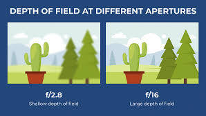 What Is Aperture Understanding Aperture In Photography