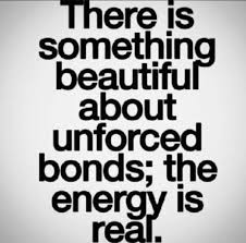 There Is Something Beautiful About Unforced Bonds The Energy Is Real Bond Quotes Words Some Words