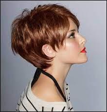 Kesse Kurzhaarfrisuren 2018 Kurzhaarfrisuren 2018 Einfache Frisuren Frisuren Hair Short Hairstyles For Thick Hair Haircut For Thick Hair Hair Styles 2014
