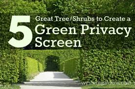 Great savings & free delivery / collection on many items. How To Create A Green Privacy Screen Western Garden Centers