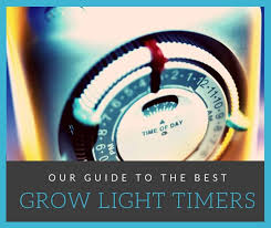 Check spelling or type a new query. The Best Timer For Grow Lights 6 Top Choices Best Led Grow Lights Info