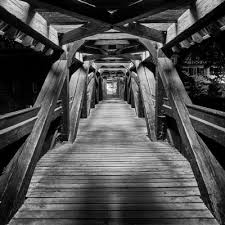 Groups allow you to create mini communities language: Sambrugg On Twitter Bergesel Am Monte Pizzoc Esel Montepizzoc Pizzoc Donkey Alpen Alps Venetien Fregona Sambrugg Italien Animal Sonyalpha6000 Https T Co 1wdyb4cu4l