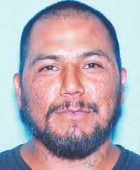 Police searching for man who shot at deputy