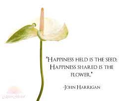 Inspirational Flower Quote Happiness Held Is The Seed Happiness Shared Is The Flower John Harrigan Seed Quotes Flower Quotes Happy Quotes