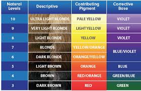 Color Correcting Toner Chart Hair Color Wheel Hair Color Chart Color Correction Hair