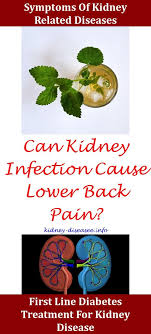 Kidney Stones Apple Cider Vinegar Treatment For Kidney Disease Kidney Kidney Infection Causes