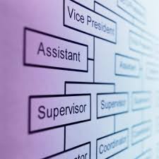A Beauty Salons Organizational Structure Chron Com