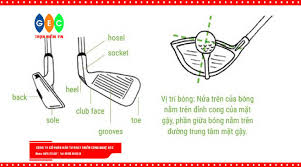 Gậy golf nặng bao nhiêu? Bật mí chi tiết A-Z thông tin về gậy golf