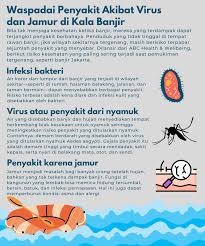 Ebola ebola adalah penyakit yang disebabkan oleh virus ebola. Waspadai Penyakit Akibat Virus Dan Jamur Di Kala Banjir Grafis Tempo Co