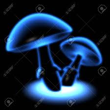 Maybe you would like to learn more about one of these? Blue Glowing Mushrooms Stock Photo Picture And Royalty Free Image Image 6913970