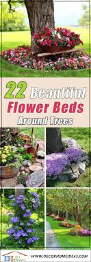 I recommend growing boxwood shrubs like this around your trees. 22 Beautiful Flower Beds Around Trees Decor Home Ideas