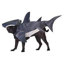 target hammerhead shark pet costume evcil hayvanlar hayvanlar