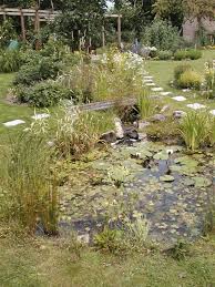Wildlife Ponds Construction Norfolk Suffolk Cambridgeshire Pond Construction Wildlife Garden Design Pond Plants