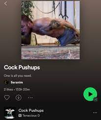 Cock Pushups | Weird Spotify Playlists | Know Your Meme