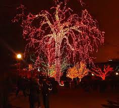 Winter Things To Do In Chicago Zoo Lights At Lincoln Park Zoo Zoo Lights Best Places To Camp Holiday Lights