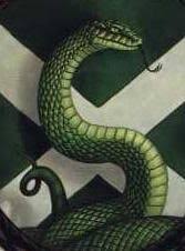 They should let the goblet do its the students only see each other as potential opponents. Slytherin Harry Potter Wiki Fandom