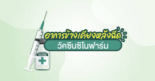 เปิด 6 ขั้นตอนเมื่อผ่านการจัดสรรวัคซีนซิโนฟาร์ม มีอะไรบ้าง เช็กที่นี่ Gbza6ker3sxfym