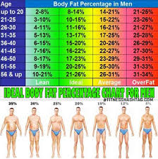 Body Fat Percentage Chart 17 Year Old Bodybuilder Chart