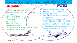 How Much Can You Earn Working In The Aviation Industry Aviation Careers Aviation Industry Emirates Fleet