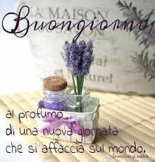 Buongiorno Buongiorno Fiori Di Lavanda Immagini