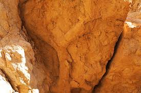 Image result for Daknopholis