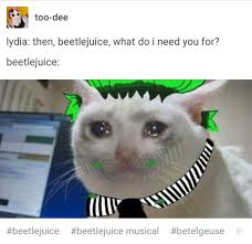 The fourth and final season consisted of 65 episodes. Pin By On The Virge Of Crying Virgil On Beetlejuice The Musical Musicals Funny Beetlejuice Theater Kid Memes