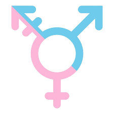 Image result for female sex sign