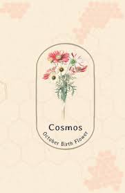 Check spelling or type a new query. Cosmos October Birth Flower Exclusive Wide Lined Journal Personalized Birth Month Travel Diary Notebook For Daily Notes Dreams Or Planning Perfect Thank You Appreciation And Christmas Publishing Algirlrithm Publishing Algirlrithm