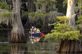 A Maze Of Bayous Thick With Ancient Bald Cypress Trees And More Than 70 Species Of Fish There S Plenty To Texas State Parks Caddo Lake State Park State Parks