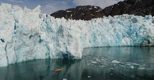 Animaux polaires animaux aquatiques animaux domestiques animaux afrique royaume des animaux animaux du monde animaux amoureux animaux antarctique : La Terre A Perdu 28 000 Milliards De Tonnes De Glace En 23 Ans