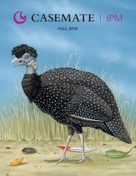 Consumer education series 2 summary: Casemate Ipm Fall 2018 Catalog By Casemate Publishers Ltd Issuu