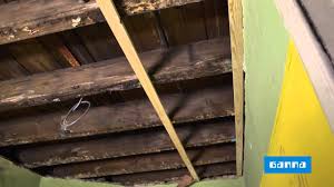 Maybe you would like to learn more about one of these? Poser Un Lambris Au Plafond Video Bricolage Gamma Belgique Youtube
