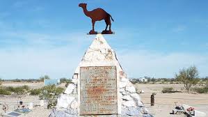 If moscow could tilt early battles in the air in its favor, the campaign could be conclusive. Camel Corps Experiment Ran Into Humps In The Road Columns Gjsentinel Com