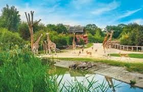 We spent over 6 hours in the zoo and lived every. Zoom Erlebniswelt Gelsenkirchen Offnet Wieder Zoom Erlebniswelt