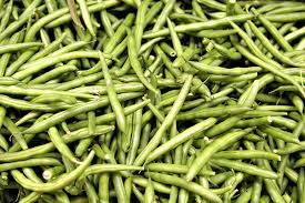 Check spelling or type a new query. Green Bean Wikipedia