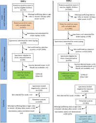 Flow Chart Of Results Of Rotavirus Testing Of Infants