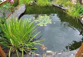 Unser service umfasst sämtliche projektphasen von der planung. Teichbau Und Schwimmteiche Grunwerk Schwalmtal