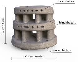Diurnal predators of restocked lab-reared and wild Diadema antillarum near  artificial reefs in Saba [PeerJ]