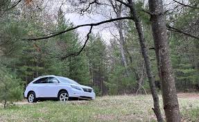 Image result for Truffle 2010 RX