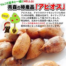 青森 アピオス ほど芋【青森産 アピオス700g】畑のうなぎ?!驚きの栄養満点おイモ 登場！栄養価が高いだけじゃない、クセになる美味しさのほくほくアピオス☆生産量日本一の本場からお届け☆[※冷凍便][※他商品との同梱不可]