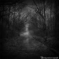 Black And White Woods Tattoo 40 Forest Photography That Will Give You The Spook Naldz Graphics Dark Forest Tattoo Forest Photography Scary Woods