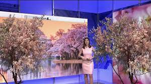 Storm Team4 S Amelia Draper Makes Her Cherry Blossom Forecast Nbc4 Washington