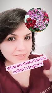 William Flowers's Instagram, Twitter & Facebook