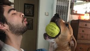 Fundraiser for Kevin Estrada by Hannah Michael : Matt Estrada's Memorial