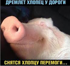 images?q=tbn:ANd9GcQ63u6THXf4Z-Y7xB-WsBw