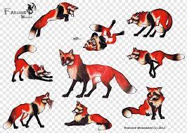 They cant mate anymore than a dog and a fox (any kind of fox) can. Somali Cat Silver Fox Rabbit Raccoon Red Fox Gray Wolf How To Draw A Raccoon Eating Mammal Cat Like Mammal Carnivoran Png Pngwing
