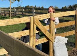 Deer are a wonderful part of the animal kingdom and they are beautiful to look at, but when it comes to your garden, they can be very destructive. Deer Fence How We Created A Vegetable Garden Fence