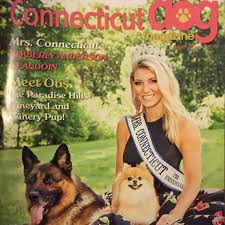 The german shepherd dog is unusually intelligent and unconditionally loyal, obedient, brave, and protective. Dog Training Dog Obedience Training Grasso Dog Training And Shepherds Ct Connecticut Dog Trainer