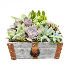 I have nothing more to say. Succulents And Cactus Gardens Succulent Planters Kremp Com