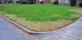 Three things need to happen when treating your brown for more information on how these products work and examples of products that contain them, see the there are some types of brown spots and other discolorations, such as reds, that. How To Identify The Cause Of Brown Spots In Your Lawn Today S Homeowner